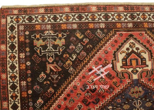 תמונה של - 