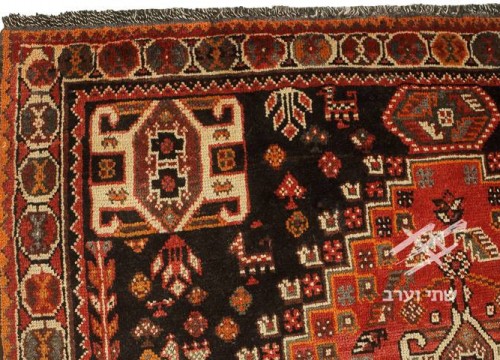 תמונה של - 