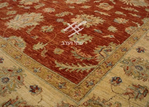 תמונה של - 