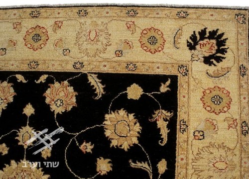 תמונה של - 
