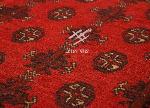 תמונה של - 