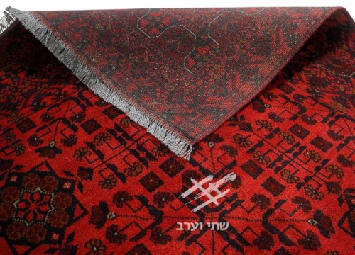 תמונה של - 
