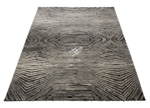 תמונה של - שטיחים מודרניים
